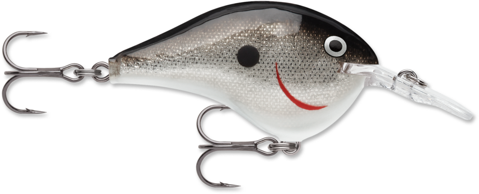 Rapala DT-4 Silver