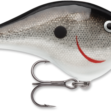 Rapala DT-6 Silver