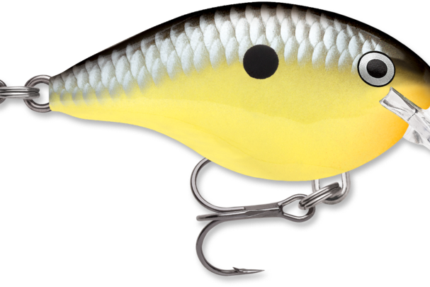 Rapala DT-4 Old School