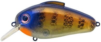Bill Lewis Echo 1.75 Squarebill Crankbait Bold Bluegill (D)