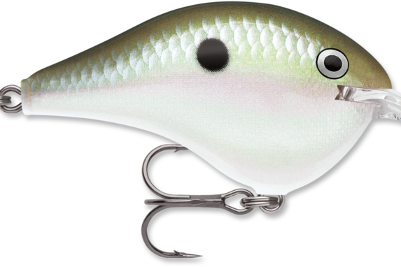 Rapala DT-8 Green Gizzard Shad