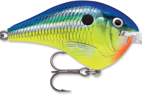 Rapala DT-6 Parrot