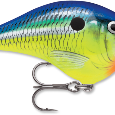 Rapala DT-6 Parrot