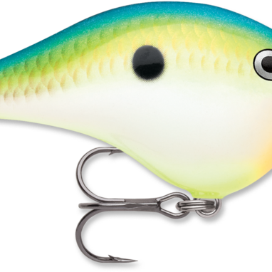 Rapala DT-8 Citrus Shad