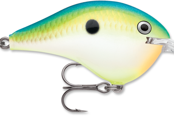 Rapala DT-6 Citrus Shad