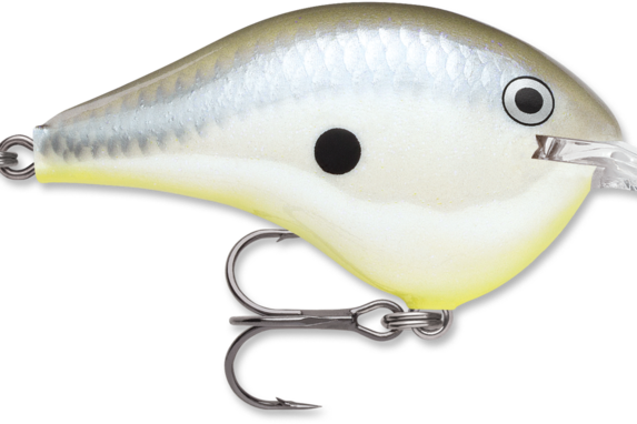 Rapala DT-8 Disco Shad