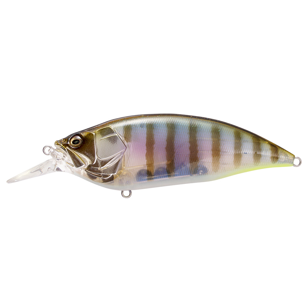 Megabass Big M 4.0 Crankbaits Gillkko