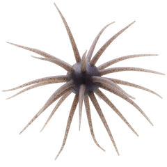 Hideup Coike Fullcast Creature Bait Shinikakegill