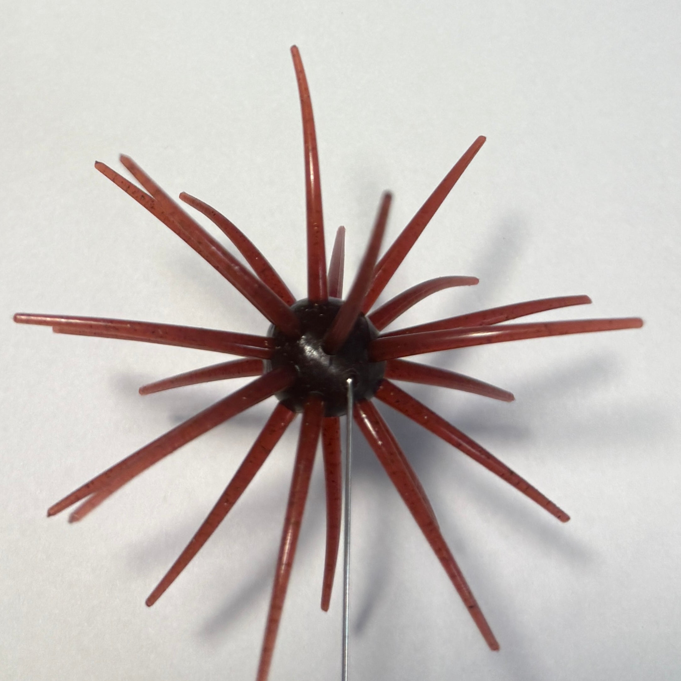 Hag’s Prickly Pear Red Dirt Renegade (Red Bug)