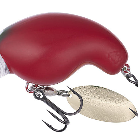 Daiwa Mr. Fortune Habanero