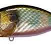 Megabass O.R.C. Wagin Oikawa