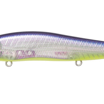 Megabass Vision Oneten SR Elegy Bone II