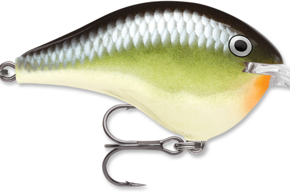 Rapala DT-8 Smash