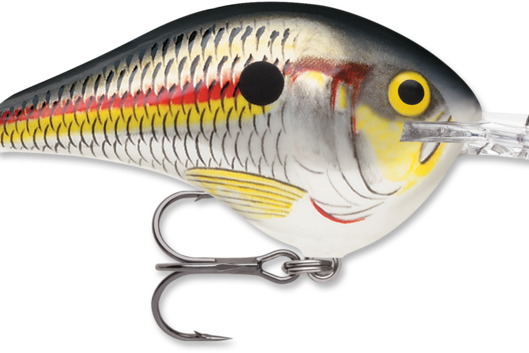 Rapala DT-14
