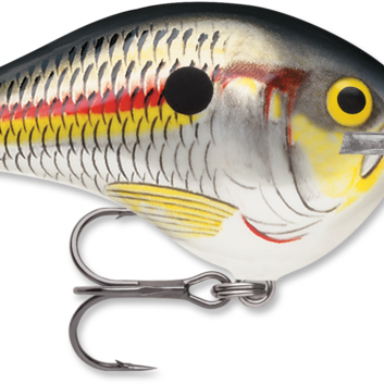 Rapala DT-10 Shad