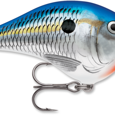 Rapala DT-6 Blue Shad