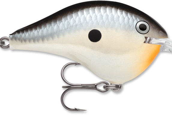 Rapala DT-6 Penguin