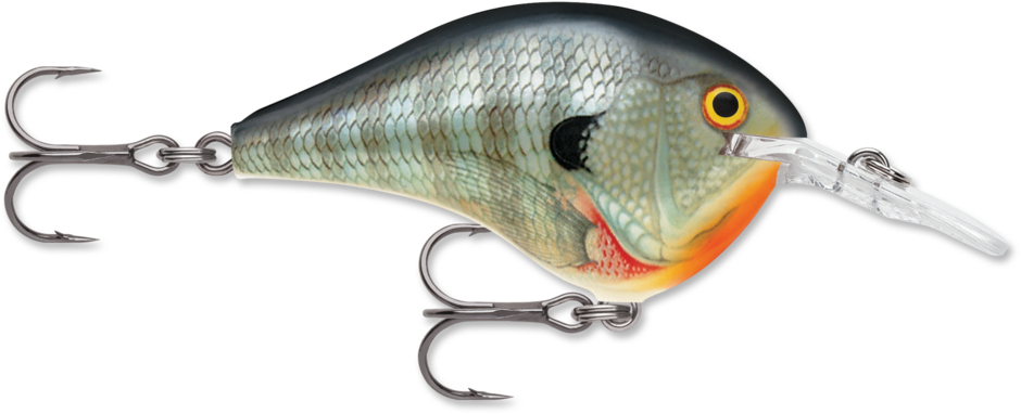 Rapala DT-6 Bluegill
