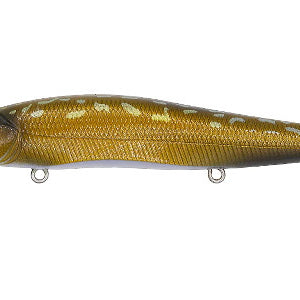 Megabass Vision 110 Hakusei Muddy Gori Copper