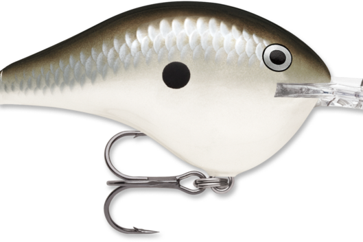 Rapala DT-14 Pearl Grey Shiner (D)