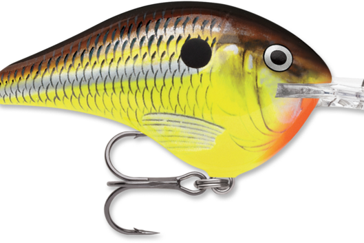 Rapala DT-14 Hot Mustard (D)