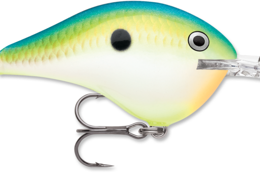 Rapala DT-10 Citrus Shad