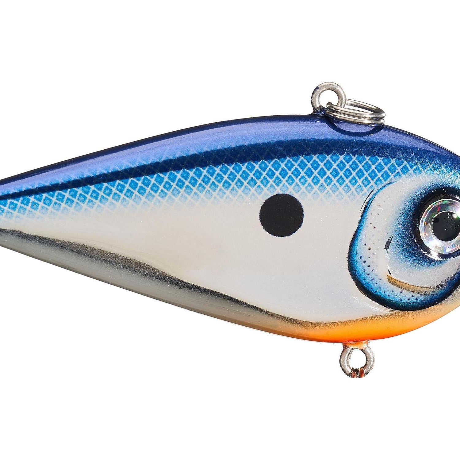 Rapala Snare 50 Lipless Crankbait