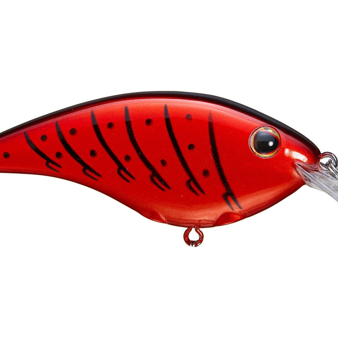 Berkley Frittside 5 Biggun Candy Apple Red