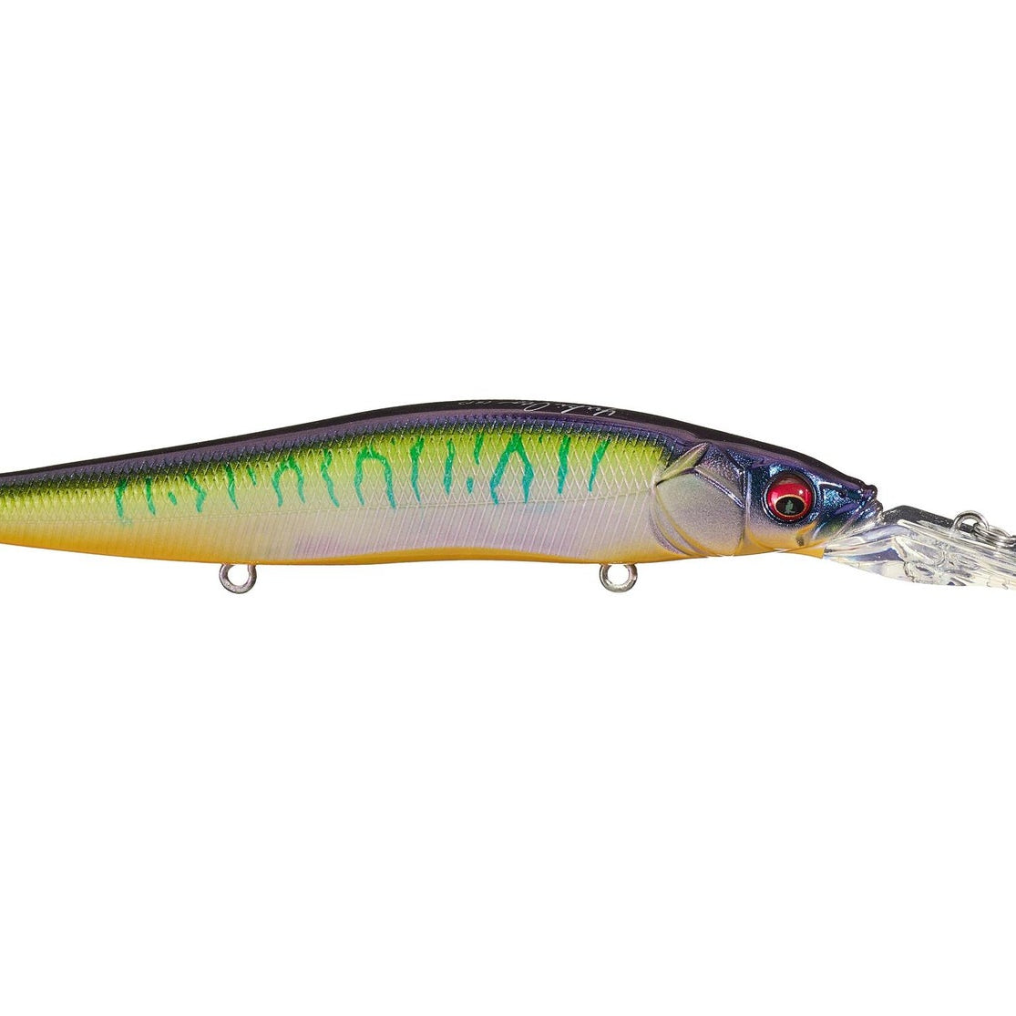 Megabass Vision 110 + 2 SG Kasumi Reaction