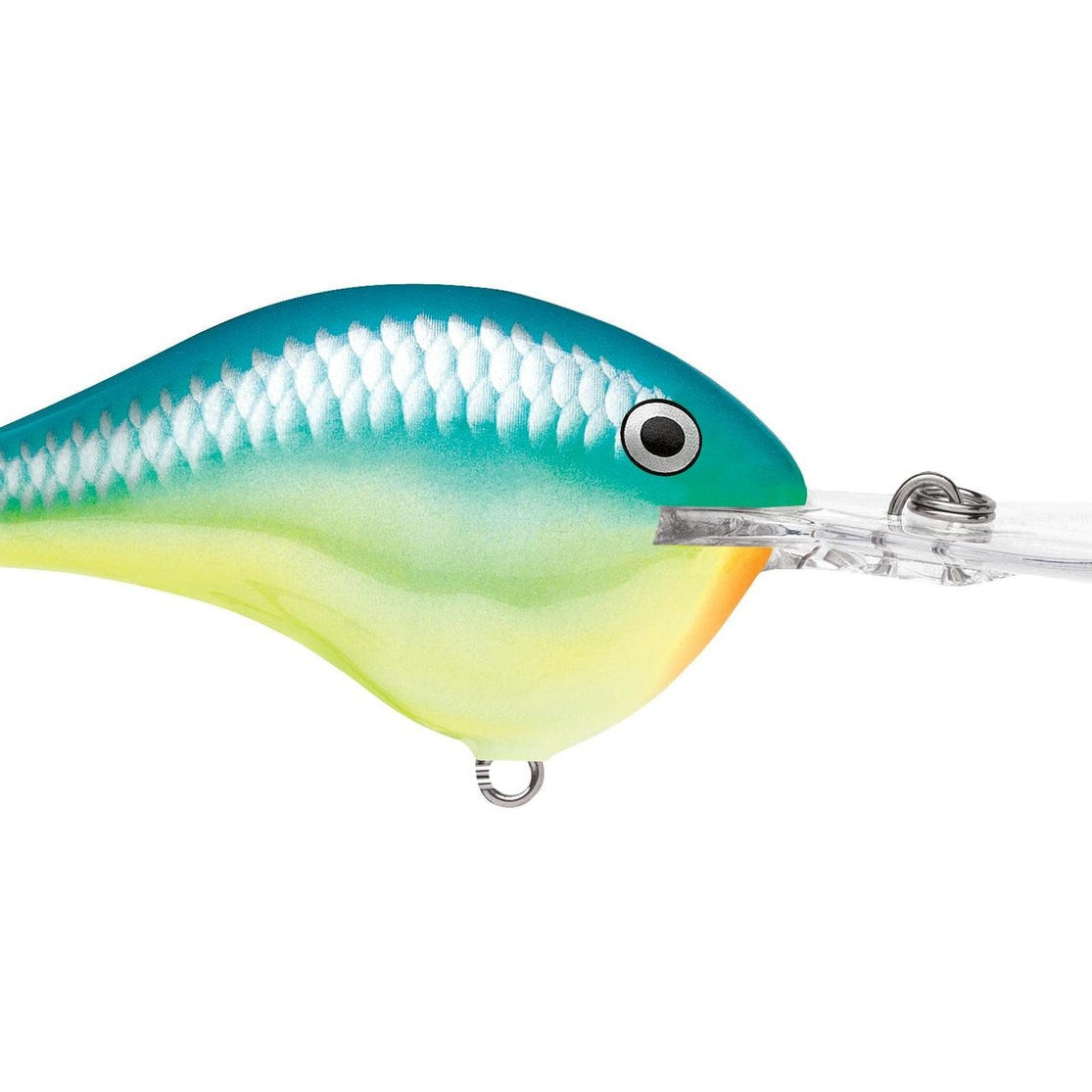 Rapala DT12 Series Crankbaits Caribbean Shad