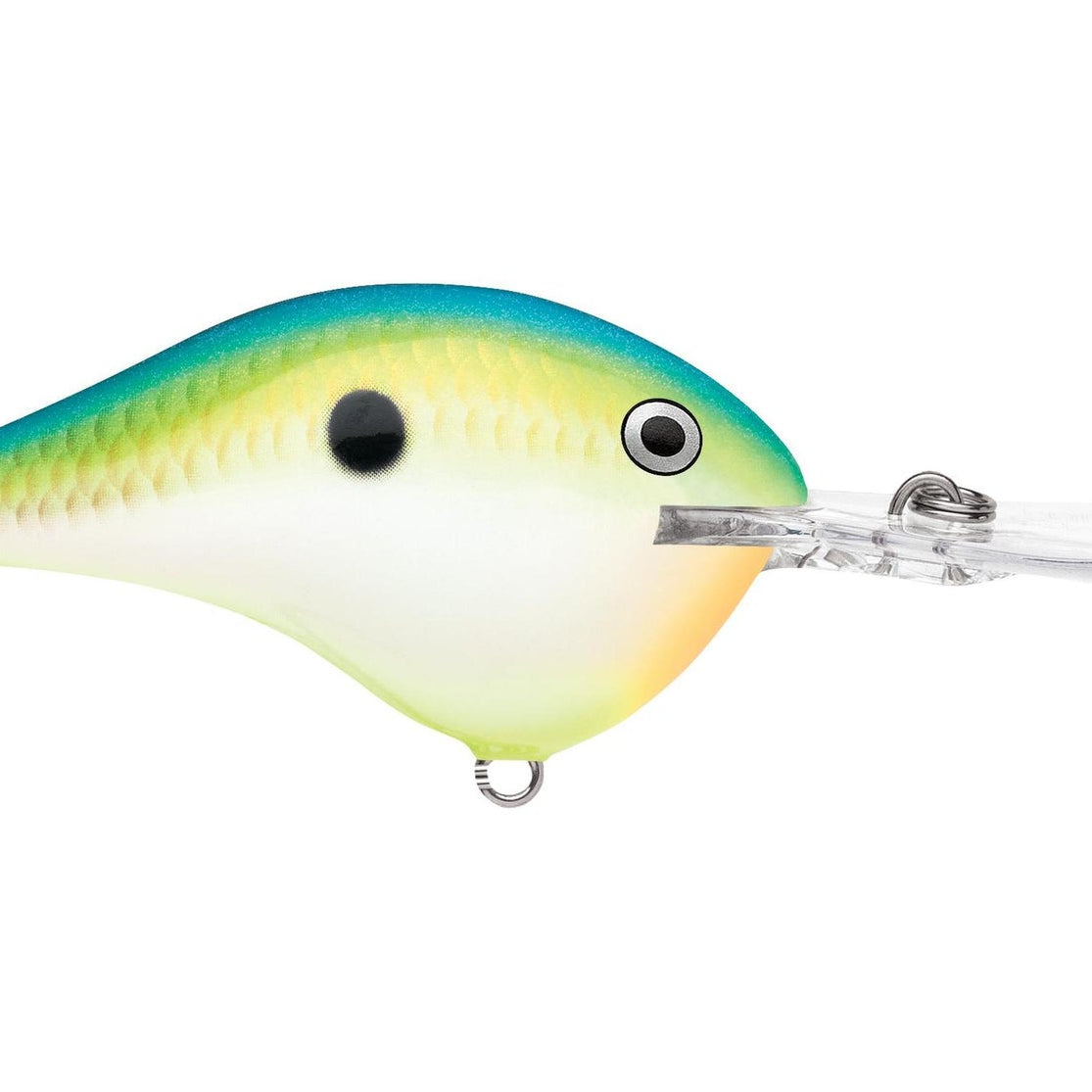 Rapala DT12 Series Crankbaits Citrus Shad