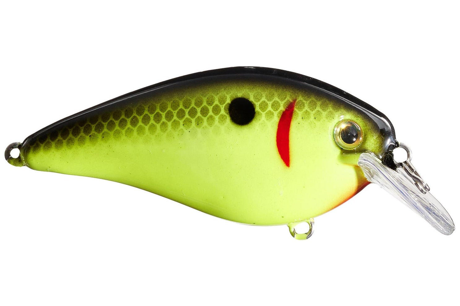 Strike King KVD 1.5 Squarebill Silent Crankbait Black Back Chartreuse