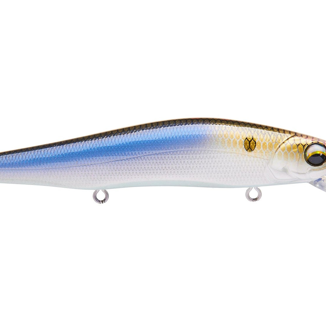 6th Sense Provoke 97X 4K Shad