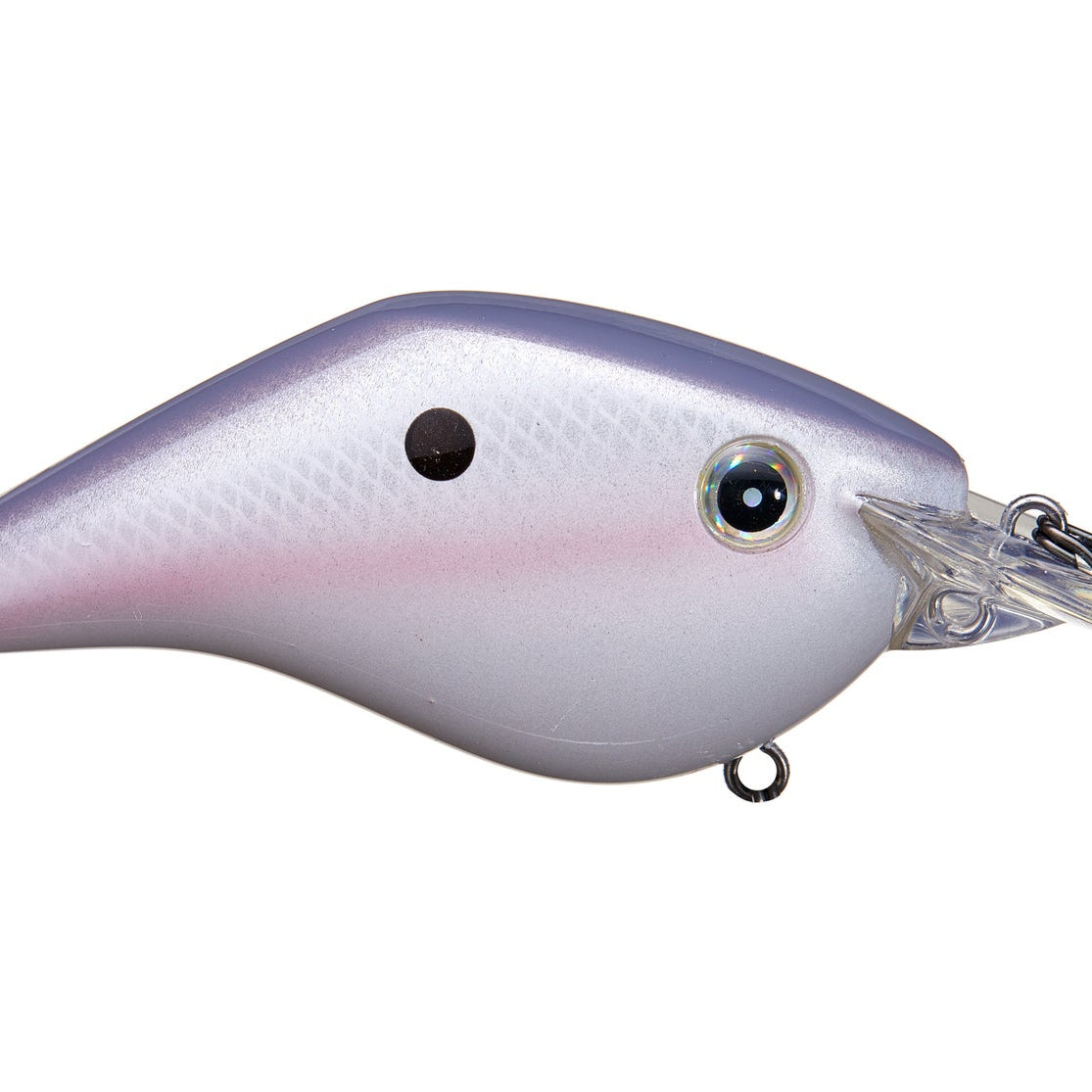 BassMooch Big Boss Crankbait Tennessee River
