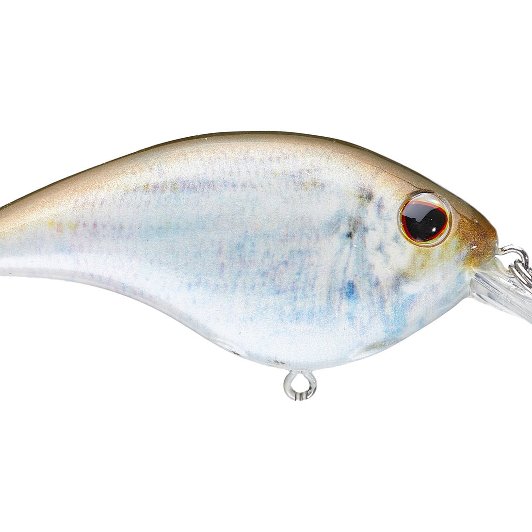 Berkley Frittside 5 Crankbait HD Blueback Herring