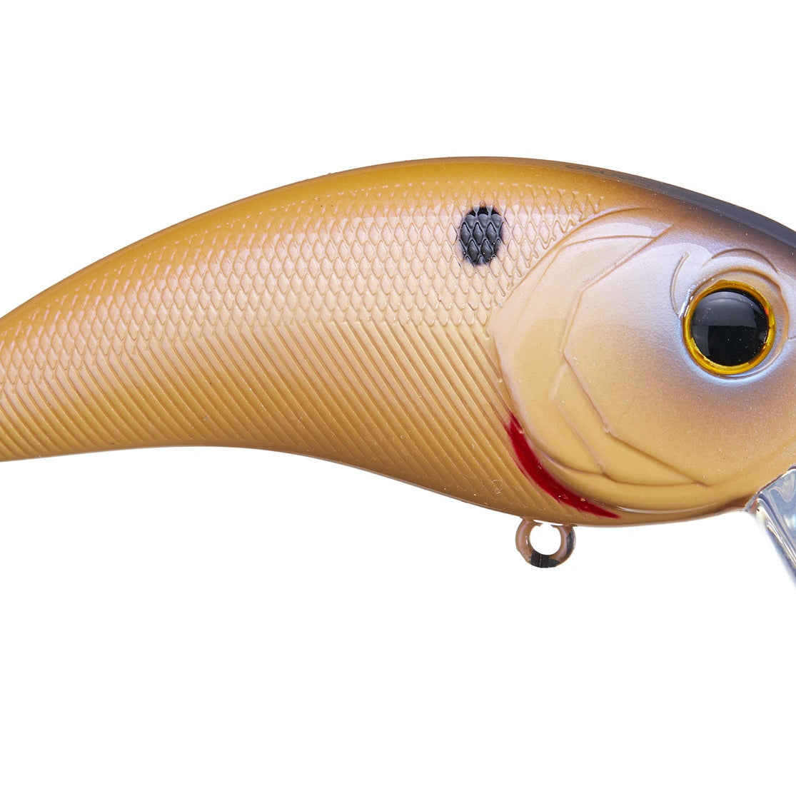 6th Sense Movement 80 Wake Bone Reactor
