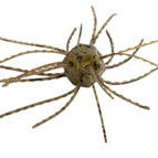 Strike King Tumbleweed Salted Green Pumpkin