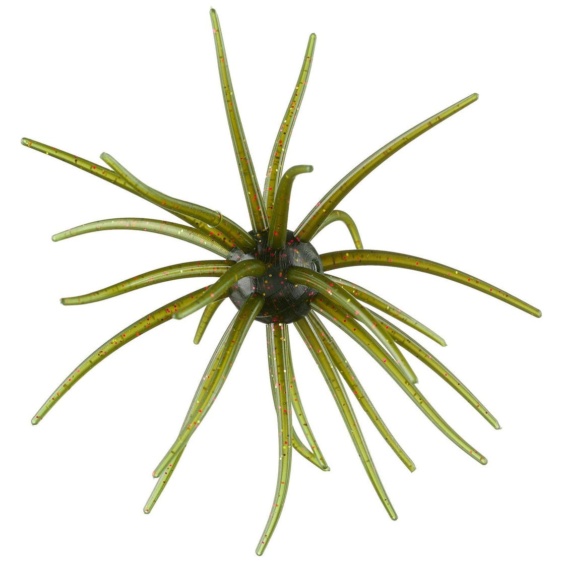 Hag’s Prickly Pear Lonestar Disco