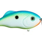 Strike King Hybrid Hunter Jr. Citrus Shad