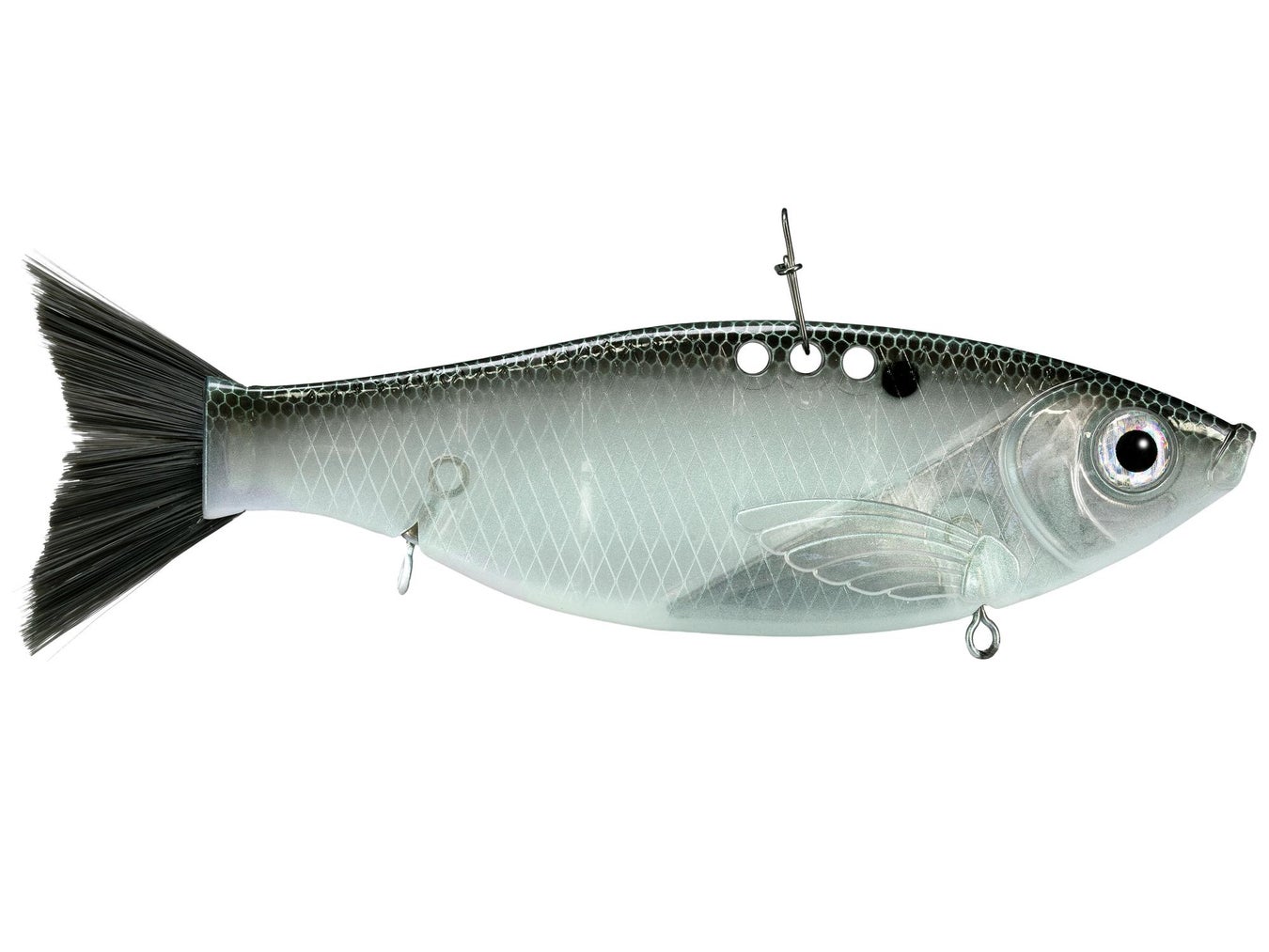 Bill Lewis Big Gizz Green Gizzard