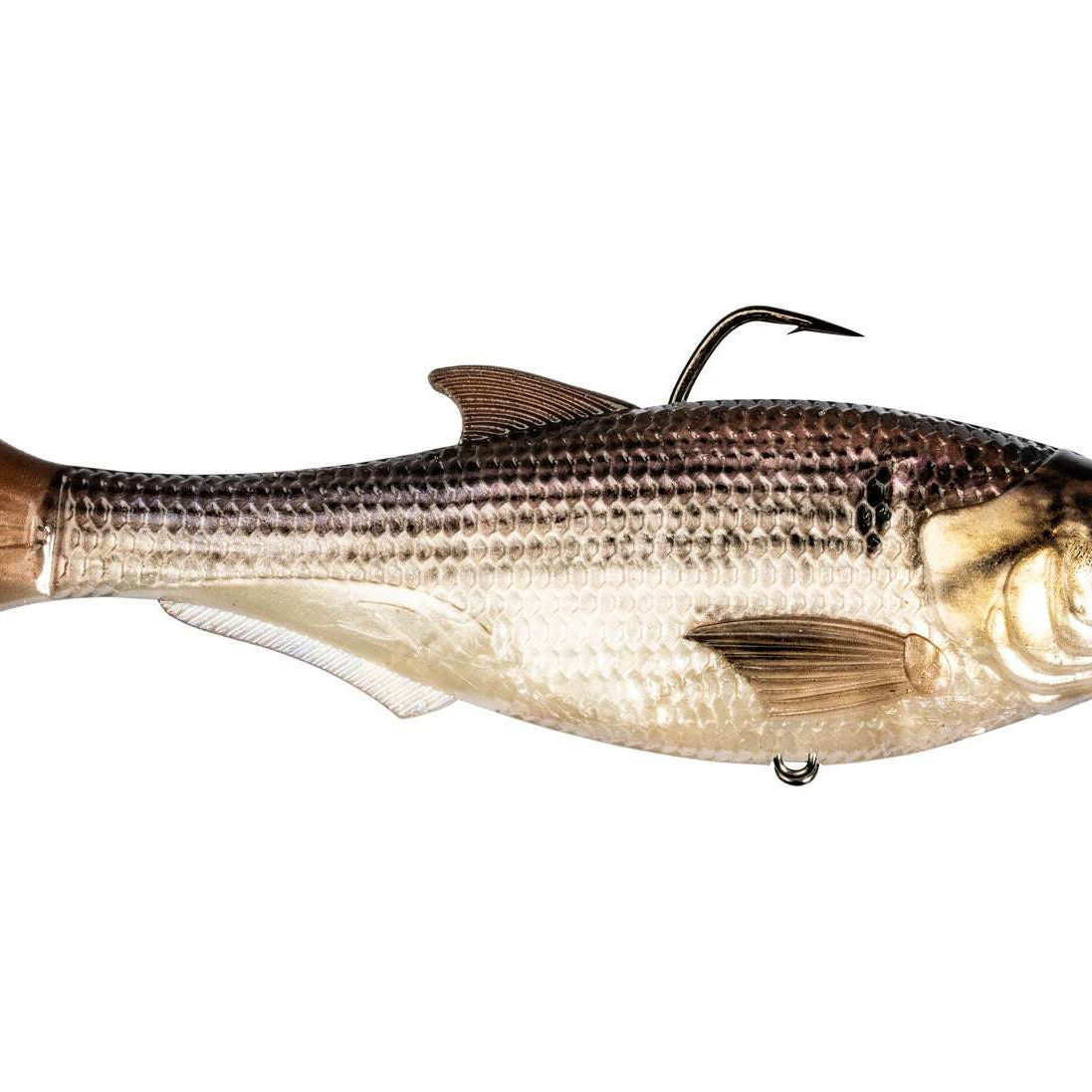 Z-Man Shadtron LT Swimbait Gizzard Shad