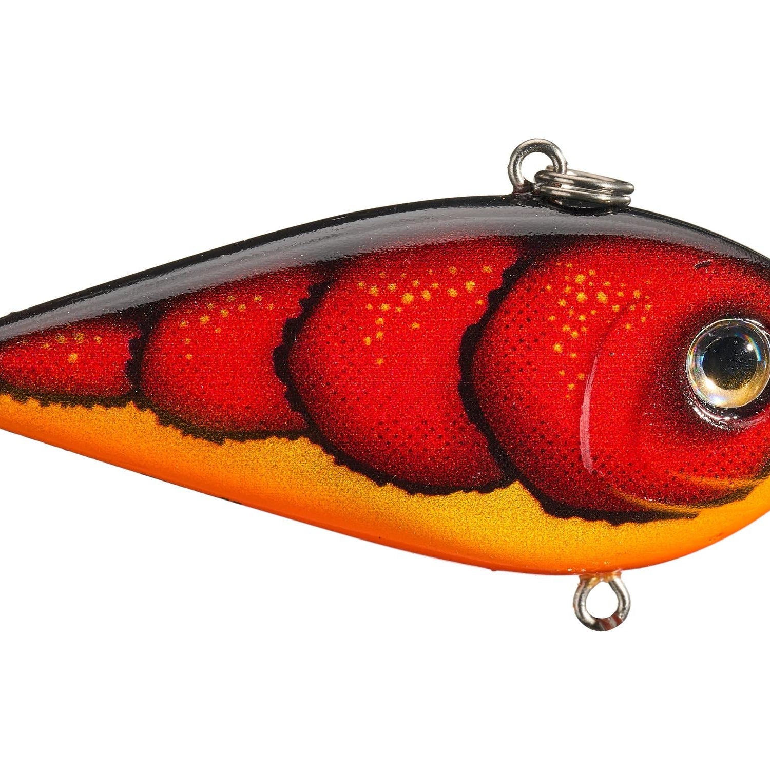 Rapala Snare 50 Lipless Crankbait