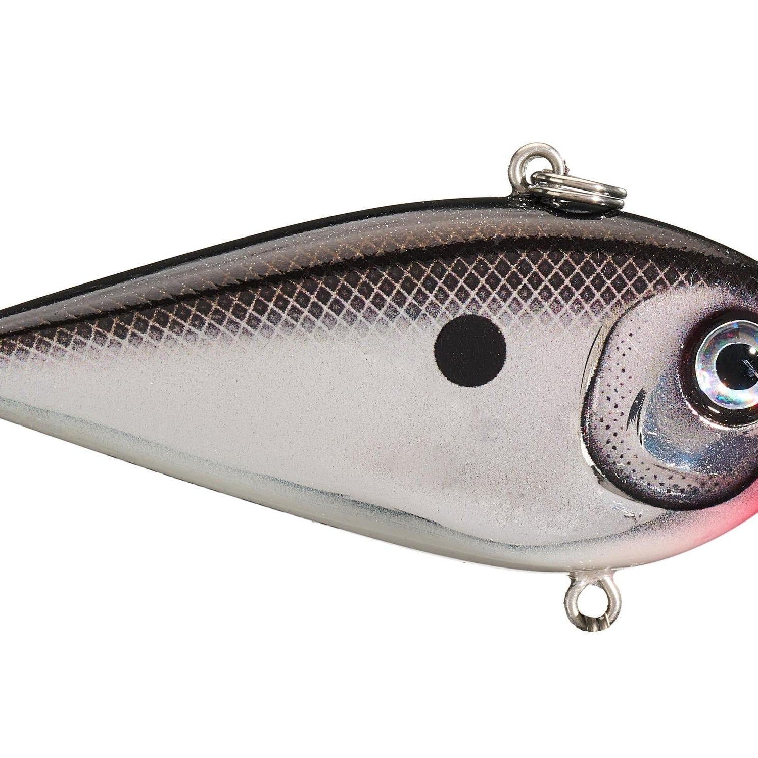 Rapala Snare 50 Lipless Crankbait