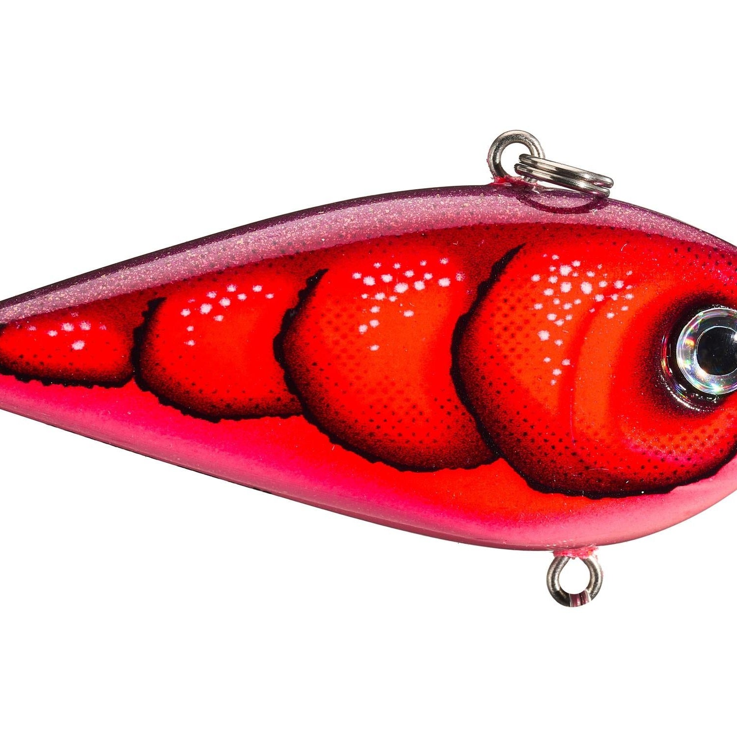 Rapala Snare 50 Lipless Crankbait