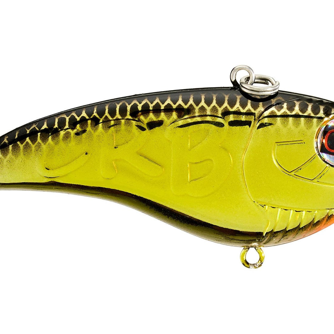 Copper Red Baits Snatchin' Shad Rattling Gold Chrome