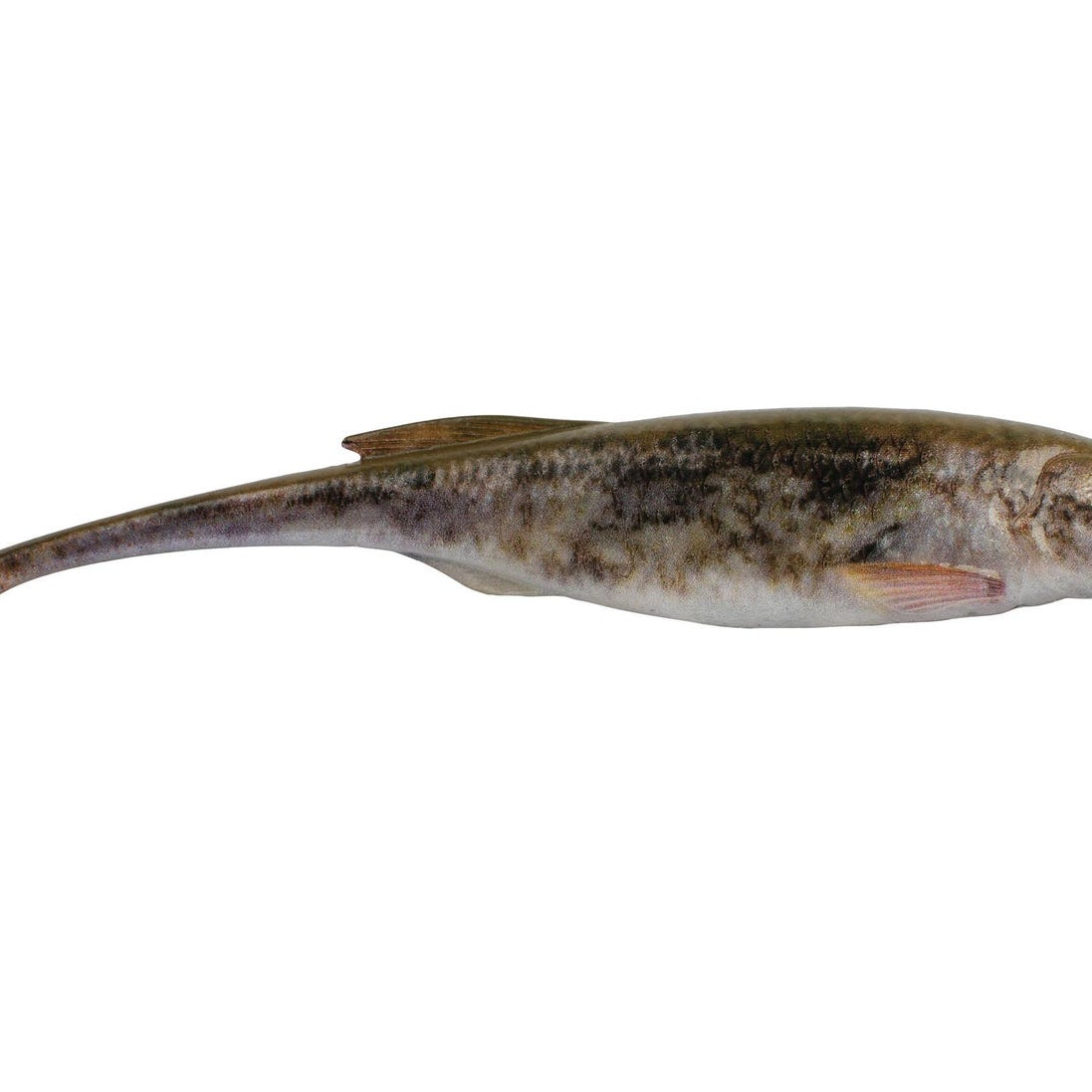 Berkley PowerBait Drip Minnow HD Goby