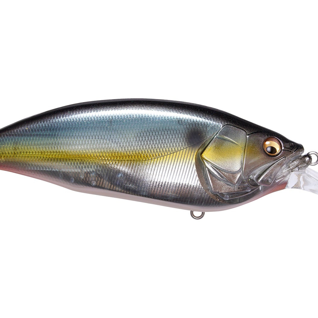 Megabass Big M 4.0 Crankbaits Jukucho Shad