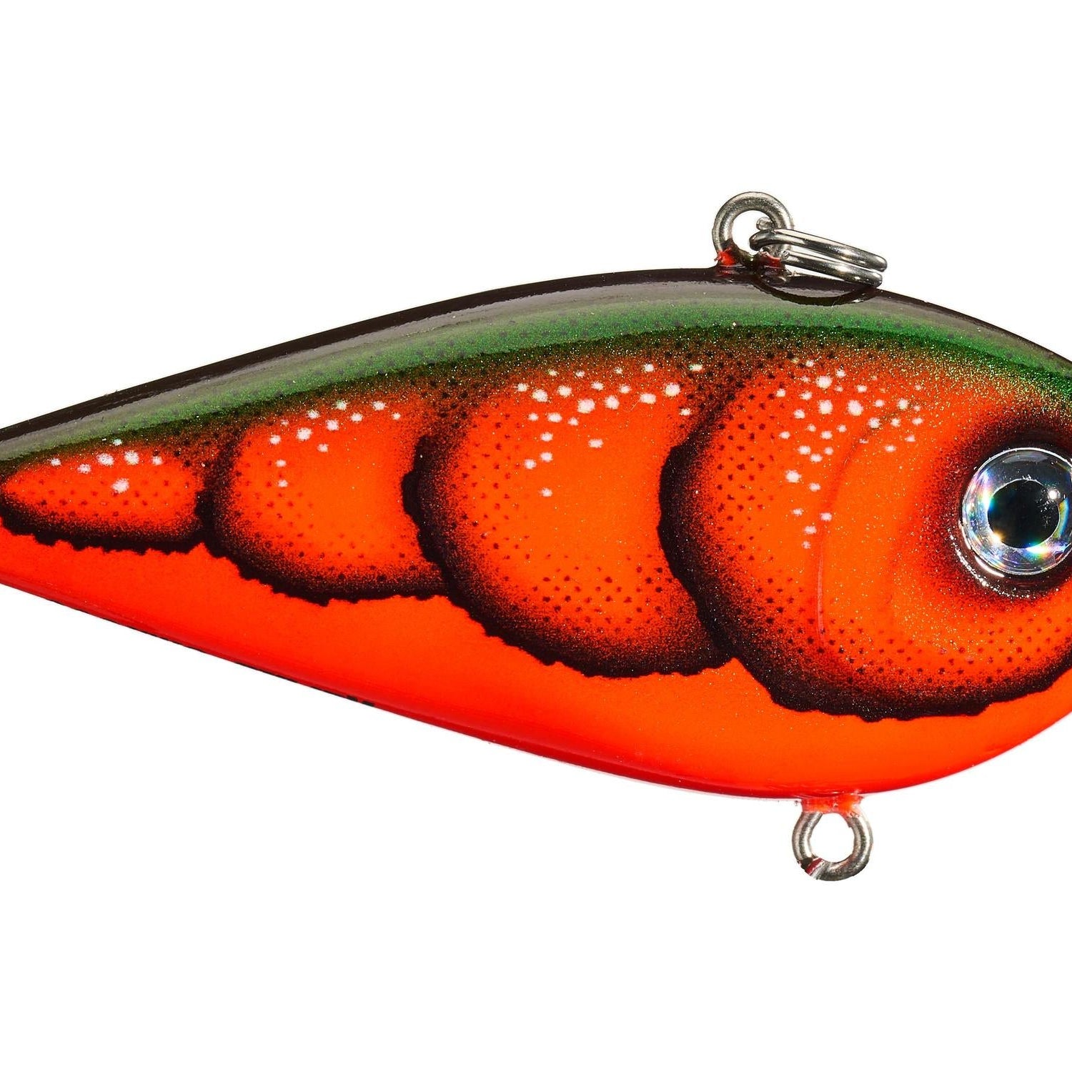 Rapala Snare 50 Lipless Crankbait