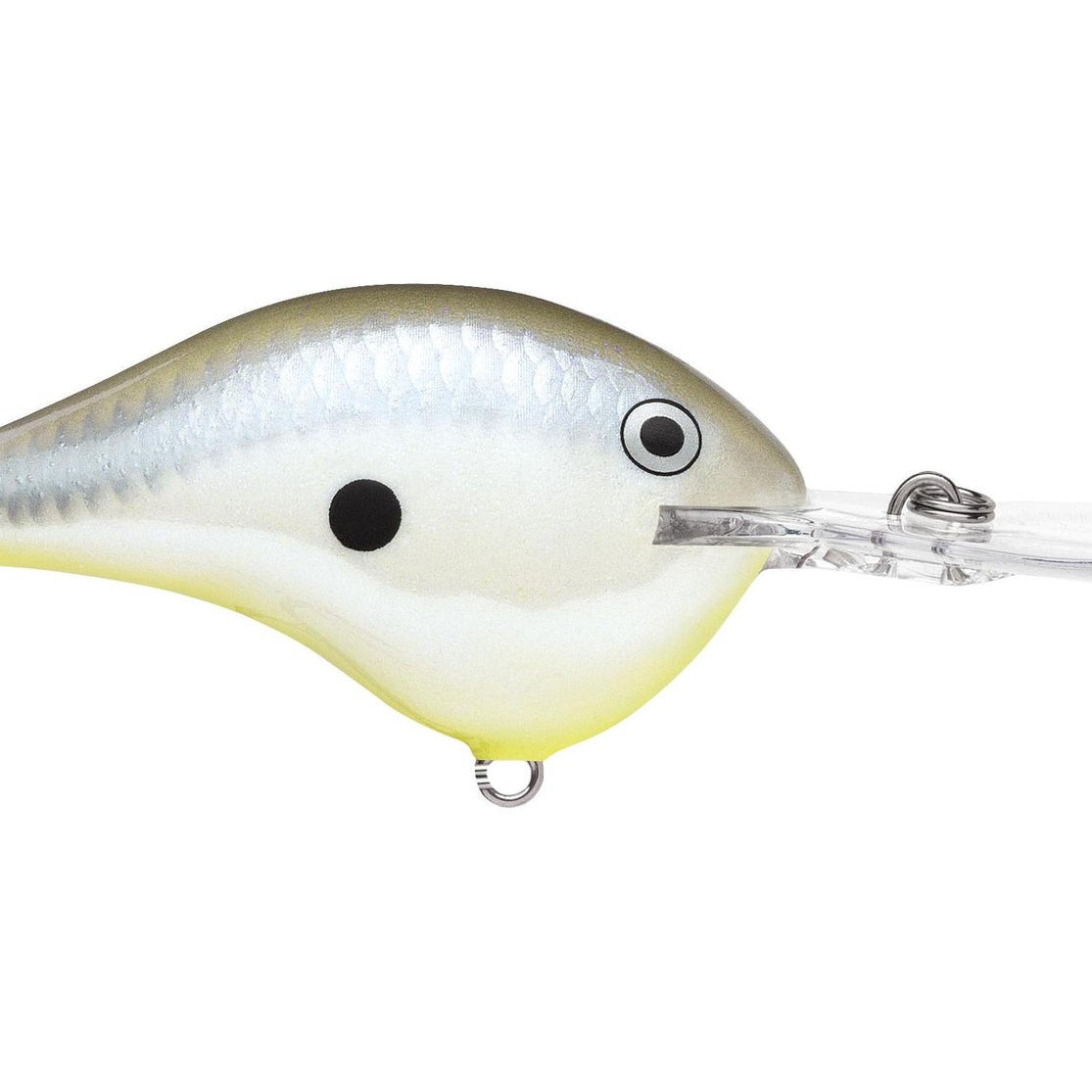 Rapala DT12 Series Crankbaits Disco Shad