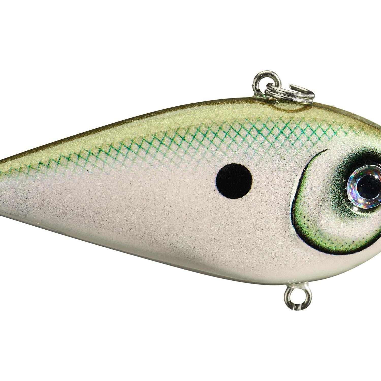 Rapala Snare 50 Lipless Crankbait